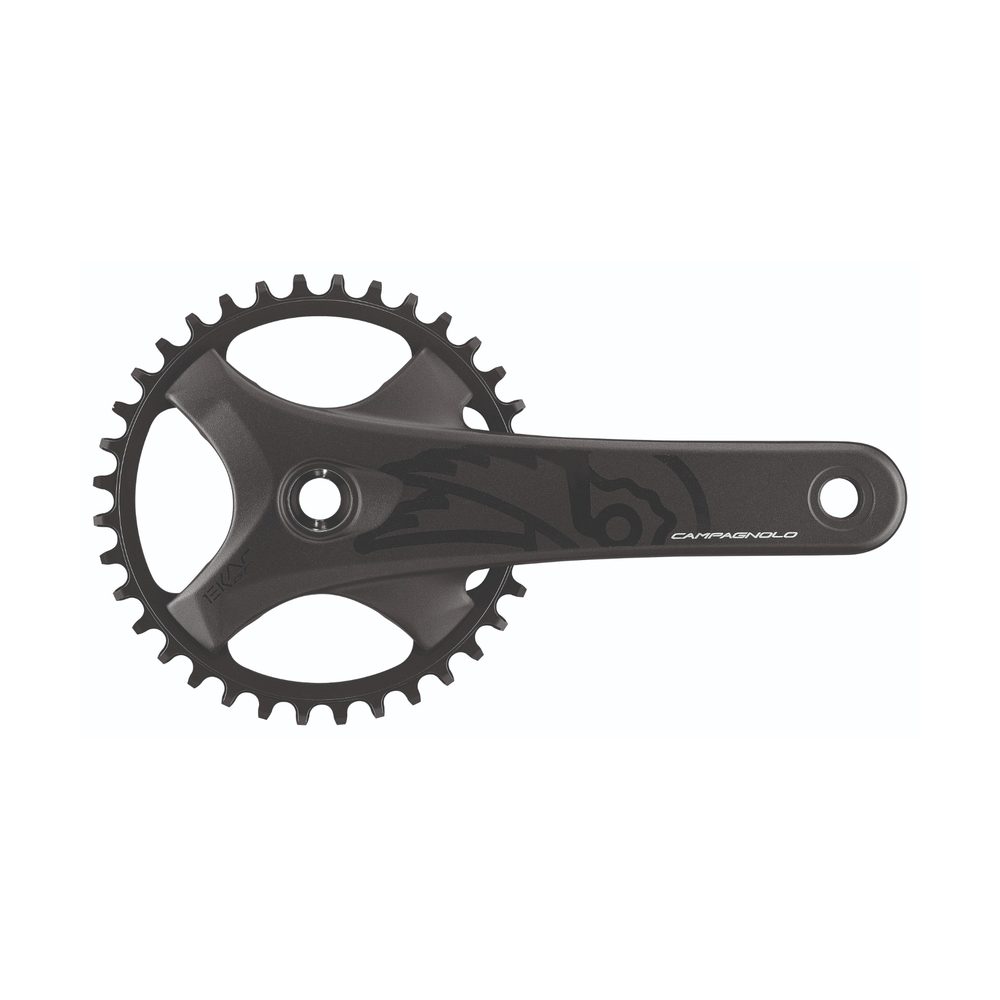 Campagnolo Ekar GT 1x13